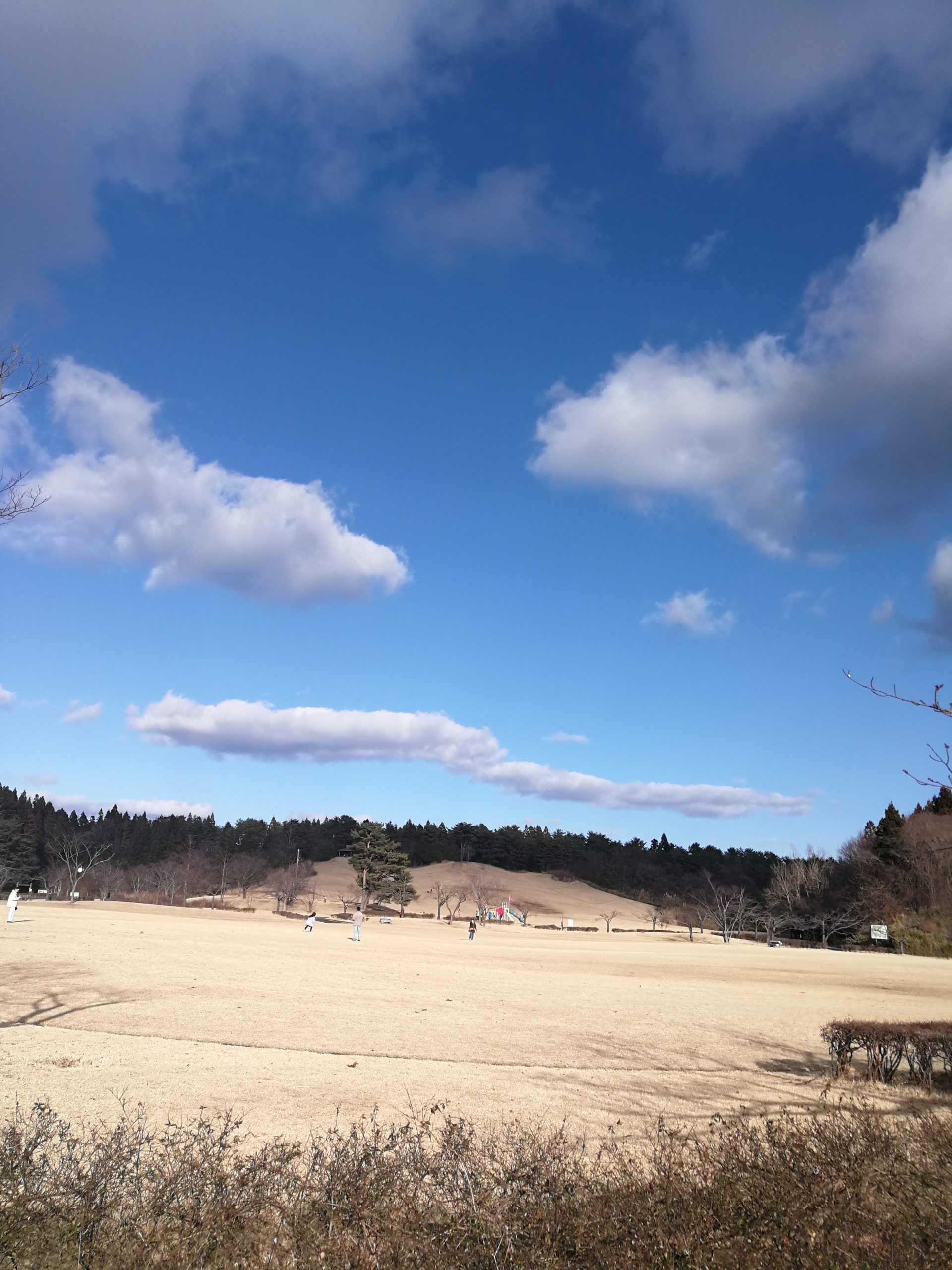 小泉潟公園は半分だけオープンしてました。