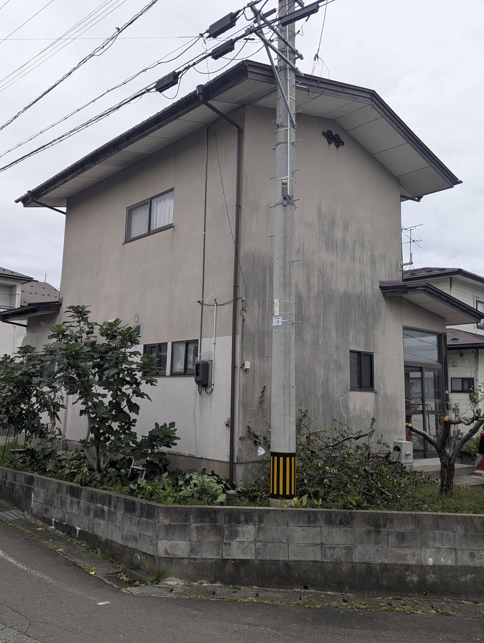 桜教室のお手入れを。